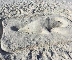 Dolphin sand sculpture