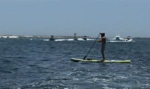 Paddle Boarder in Destin Pass