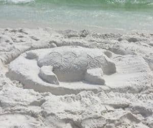 Turtle sand sculpture